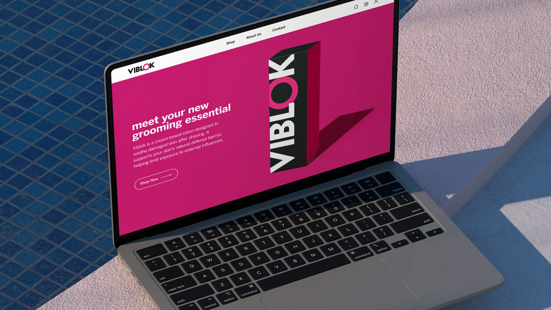 25 0908 Viblok Website